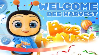 bee harvest withdrawal l bee harvesting honey l bee harvest withdrawal [upl. by Tesler]