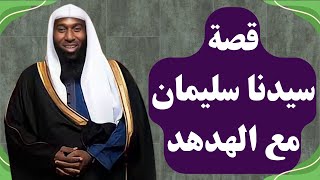 قصة سيدنا سليمان عليه السلام مع الهدهد  من أعجب القصص  الشيخ بدر المشاري [upl. by Leahcir]