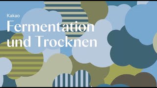 13  Fermentation und Trocknung bei Läderach Die Kunst der Kakaoverarbeitung [upl. by Northington]