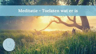 Meditatie  Omgaan met chronische ziekte vermoeidheid en pijn [upl. by Steck]