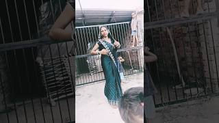 hot savera NATA Tod dungi meenageet rajasthani [upl. by Siva]