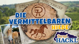 Die Vermittelbaren  Hilde [upl. by Acissehc]