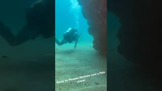 un buceo fantastico increíble y muy profesional manejado por la gente de la buga dive and surf [upl. by Lowenstein]