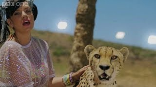 Lily Allen talks about working with a cheetah  The Graham Norton Show Series 14 Episode 17  BBC [upl. by Fons]