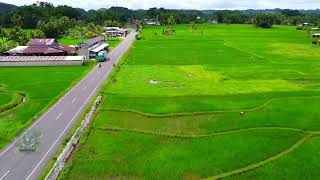 Poblacion vieja batuan bohol philippines rice field [upl. by Maurits]