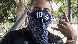 5 Biggest Mexican Gangs In Los Angeles [upl. by Anahsak]