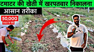 आसान तरीक़े से खरपतवार खत्म mskfarms [upl. by Giuliana]