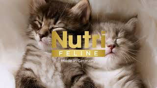 Nutri Feline Kitten [upl. by Otnas]