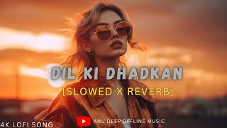 Dil Ki Dhadkan Slowed  Reverb  Mind Fresh Lofi Song Mind Relax Lofi Mashup  Anu Deep Tirkey [upl. by Luciano]