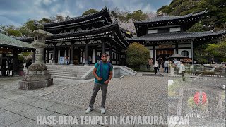 World famous Hasedera temple Kamakura Tokyo kamakura hasederatemple japan tokyo [upl. by Noiroc]