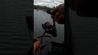 A much needed carp  Live Match Fishing  Gold Valley Lakes [upl. by Quiteri]