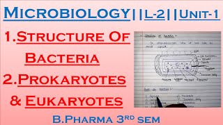 Microbiology  Structure Of Bacteria  Prokaryotes amp Eukaryotes L2Unit1 Bpharma 3rd sem [upl. by Malliw]