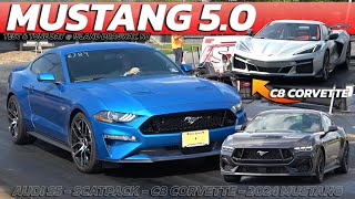 Mustang 50 vs C8 Corvette amp 2024 Mustang Scat pack Charger AUDI S5  island dragway [upl. by Elden]