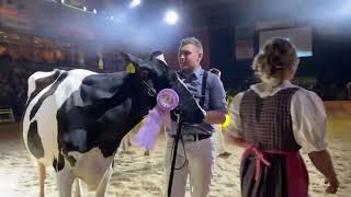 Expo Bulle 2022 Junior Championwahl Holstein [upl. by Resiak]