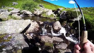 Pysgota Pluen Eryri Mehefin 2017 Fly Fishing in Snowdonia June 2017 [upl. by Castora]