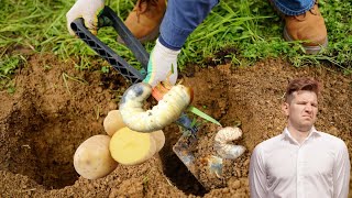 Se débarrasser des vers blancs dans sa pelouse avec une pomme de terre [upl. by Lecirg]