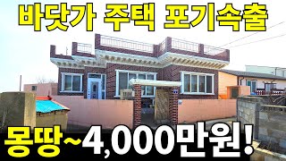 바닷가 주택 안팔려서 포기 속출 몽땅4000만원 전부 가져가세요 농막보다 싸게 나온 바닷가 전원주택 뺨치는 집 [upl. by Hsepid]