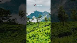 Coonoor Video🤩😍❤️ shorts short youtubeshorts shortvideo shortsvideo [upl. by Binette]