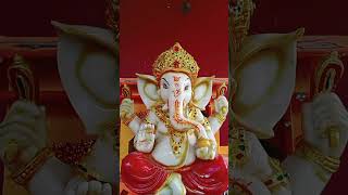 Ganpati Bappa morya 🙏 Mangal murti morya 🙏🌺 [upl. by Chap446]