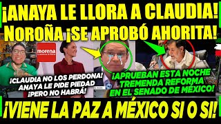 MIÉRCOLES ¡ANAYA PIDE PIEDAD A CLAUDIA NOROÑA ¡APROBADO PAZ EN MÉXICO ¡SI O SI A LA FUERZA [upl. by Annaer]