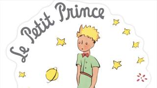 Le Petit Prince  Chapitre 25  quotle Puitsquot [upl. by Milton]