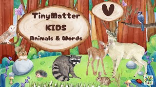 Kids Alphabet Animals Words And Pronunciation A  Z  Alpha V [upl. by Anaib]