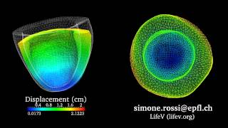 Computational cardiac electromechanics left ventricle [upl. by Awram]