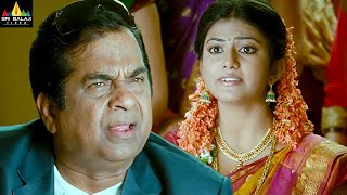 Naayak Movie Brahmanandam Pellichoopulu Comedy  Latest Telugu Scenes  Ram Charan SriBalajiMovies [upl. by Wynn]