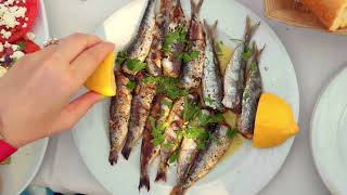 Omega3 Power Sardines amp Anchovies Benefits [upl. by Bertila]