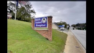 Smith Animal Hospital  Spartanburg SC  Veterinarians [upl. by Canica]