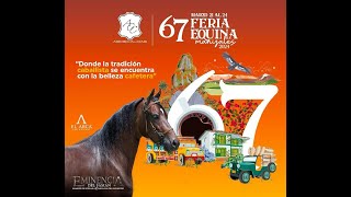 67ª EXPOSICION EQUINA quotGRADO Aquot  MANIZALES 2024  DIA 3  PASO FINO COLOMBIANO [upl. by Afnin]