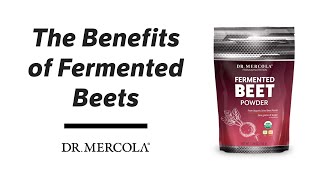 Dr Mercola Shares the Benefits of Fermented Beets [upl. by Rexanne419]