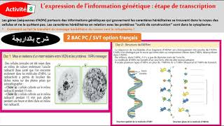 Lexpression de linformation génétique étape de transcription 2bac biof شرح بالداريجة [upl. by Vasili]