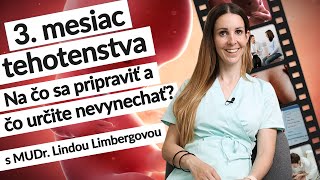 3 mesiac 9 – ⁠13 tt  Tehotenstvo týždeň po týždni  tehotenstvo [upl. by Laspisa]