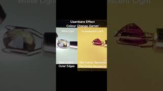 Usambara Effect Colour Change Garnet colourchangegemstone gemstonecollector gemstonecollection [upl. by Etram]