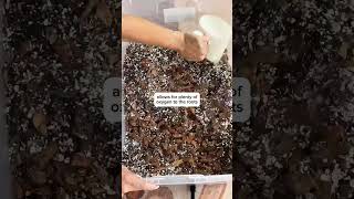 my tried and true DIY soil mix plants planttips plantcare shorts fyp viralvideo houseplant [upl. by Audre435]