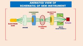 Tamil Animated SCANNING ELECTRON MICROSCOPY SEM PRINCIPLE INSTRUMENT uses 2 TYPES optical microscope [upl. by Gretchen820]