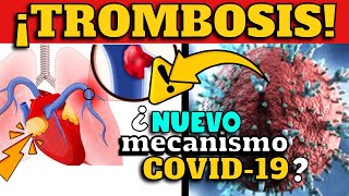 ¡ALERTA REVELAN MECANISMO ASOCIADO A TROMBOSIS EN COVID19 ¿RIESGO EN NUEVAS VARIANTES [upl. by Yelsnya162]