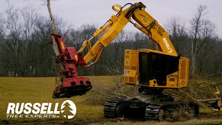 Infrastructure Clearing with a Feller Buncher Komatsu XT4455  Quadco 2900 [upl. by Melita]