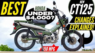 NEW Honda Trail 125 Review  CT125  Better than Grom Monkey amp Super Cub Motorcycles [upl. by Stauder667]