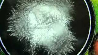 Cymatics in Water Heart Songs Medias Cymatics [upl. by Notlil315]