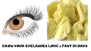 Grow your Eyelashes with this UNIQUE AFRICAN PRODUCT [upl. by Olli]