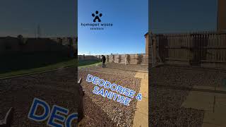 Transforming a Garden into a PetFriendly Paradise in 40 Seconds doglife communitycleanup [upl. by Neelear494]