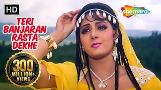 तेरी बंजारन रस्ता देखे  Teri Banjaran Rasta  Sridevi Hit Song HD  Alka Yagnik  Banjaran [upl. by Ardnaxila104]