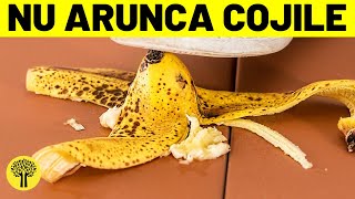 Nu arunca cojile de banana 5 Beneficii si intrebuintari  Arborele vietii [upl. by Evanthe]