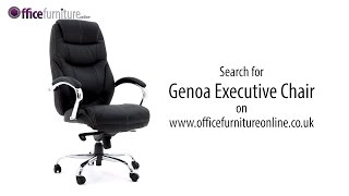 Genoa Top Leather Executive Office Chair  features and user guide [upl. by Yennep]