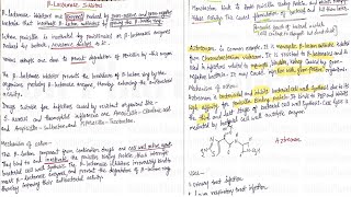 Topic 10 Beta Lactam Antibiotics  Beta Lactamase Inhibitor amp Monobactam Antibiotics  Antibiotics [upl. by Can134]