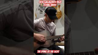 Noel Gallaghers High Flying Birds  The Dying Of The Light Acoustic Guitar Cover [upl. by Hilel218]