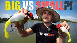 PIKE FISHING BIG vs Small Lures CHALLENGE Big Lures  Big Fish  Gator Rod GIVE AWAY [upl. by Anzovin394]