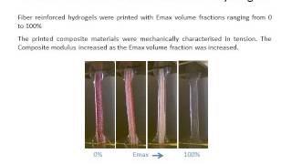 3D Printing of Fiber Reinforced Hydrogels [upl. by Monjan]